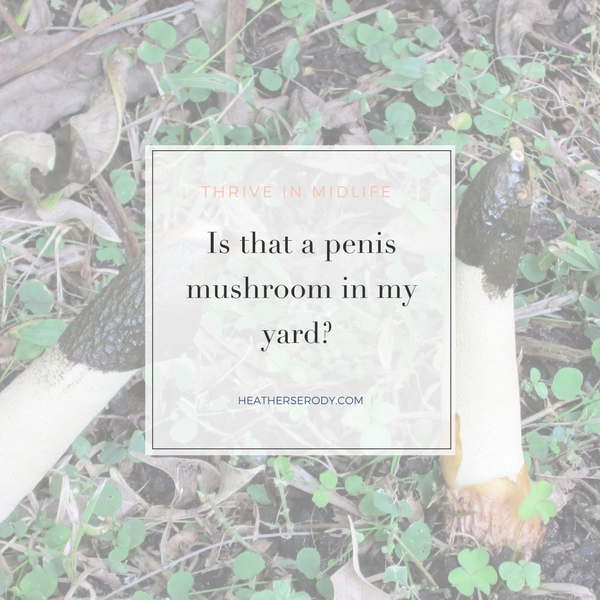 Is that a penis mushroom in my yard- - Thrive In Midlife